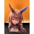 MJ3 アドマイヤベガウマ娘 1